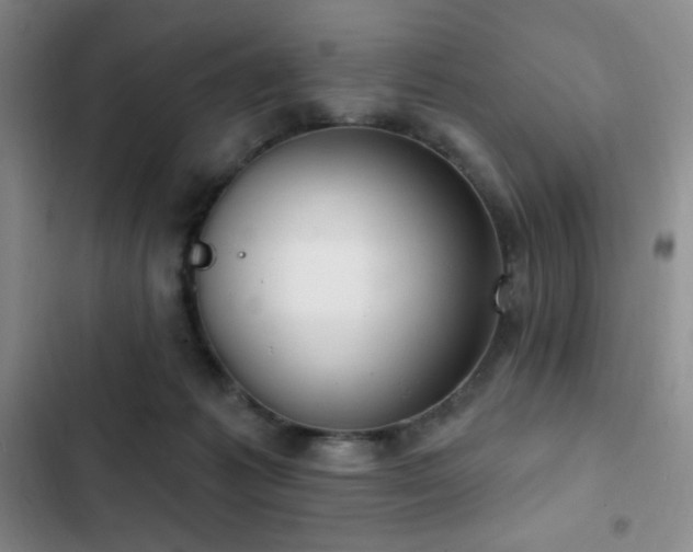 X0000103170221200808221242