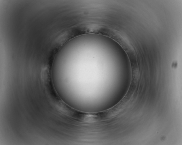 X0000103170222200808221242