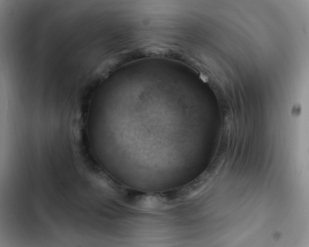 X0000103170223200808221242