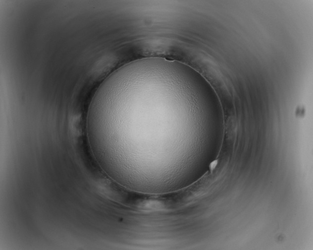 X0000103170224200808221242