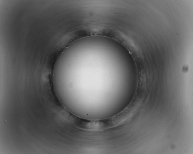 X0000103170225200808221242