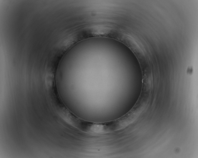 X0000103170227200808221242