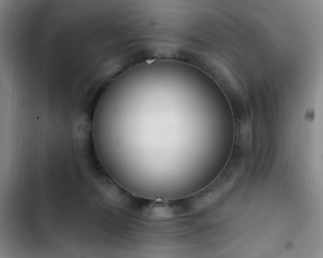 X0000103170228200808221242