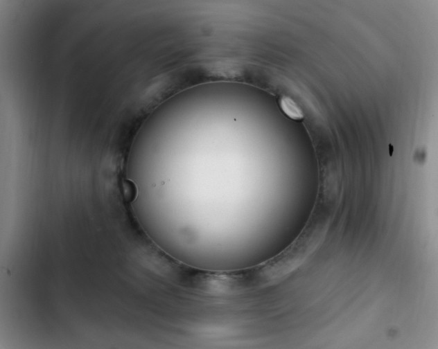 X0000103170229200808221242