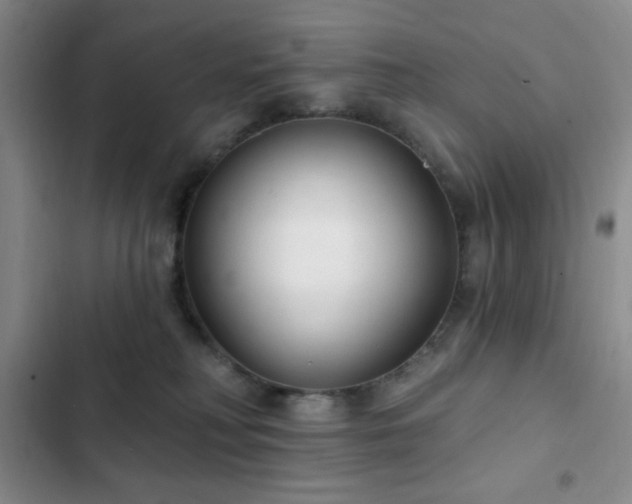 X0000103170230200808221242