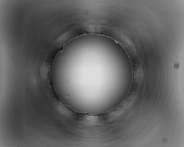 X0000103170233200808221242