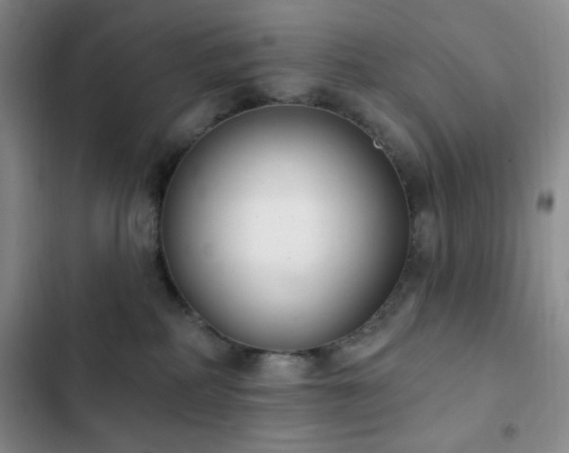 X0000103170234200808221242