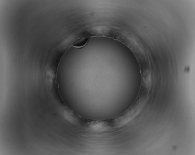 X0000103170235200808221242