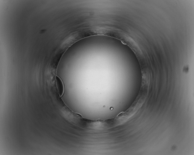 X0000103170237200808221242