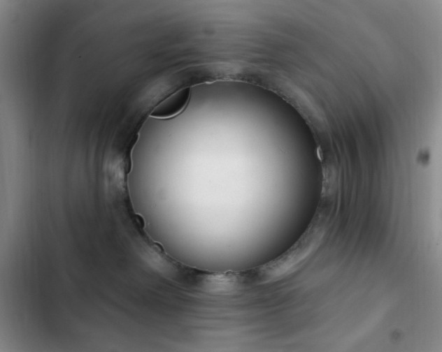 X0000103170238200808221242