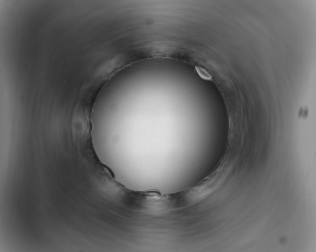 X0000103170240200808221242