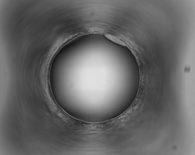 X0000103170241200808221241