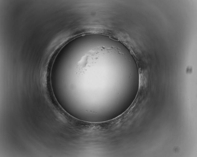 X0000103170243200808221241