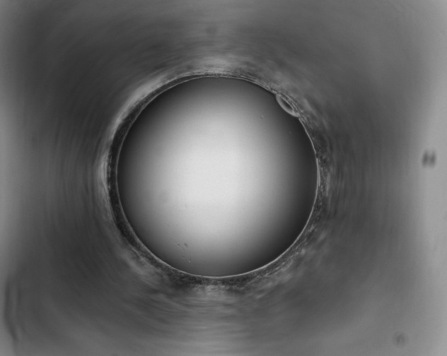 X0000103170244200808221241