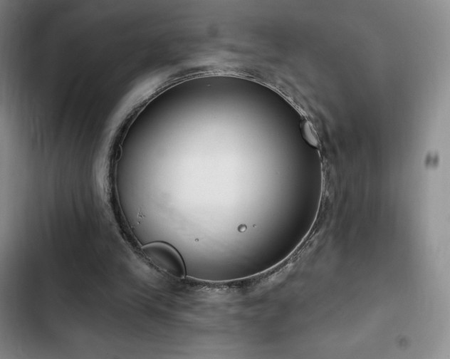 X0000103170245200808221241