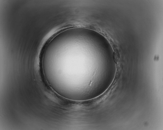 X0000103170246200808221241