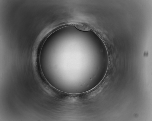 X0000103170247200808221241