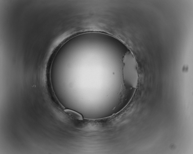 X0000103170248200808221241