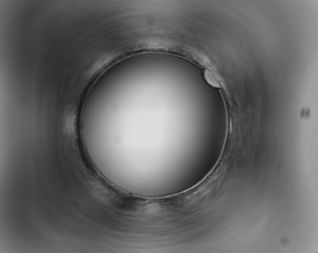 X0000103170249200808221241