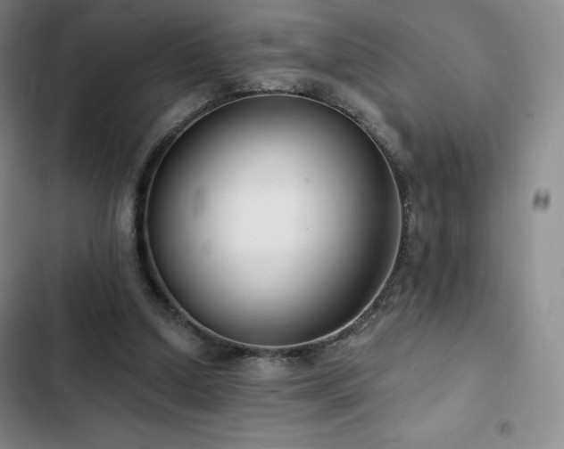 X0000103170250200808221241