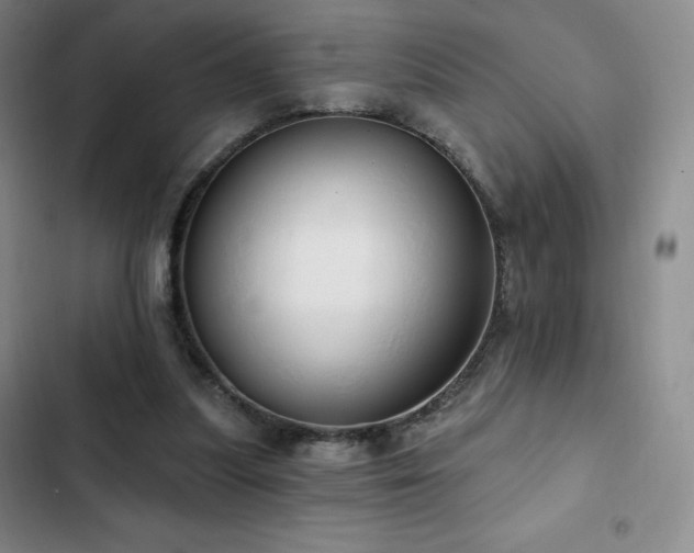 X0000103170251200808221241