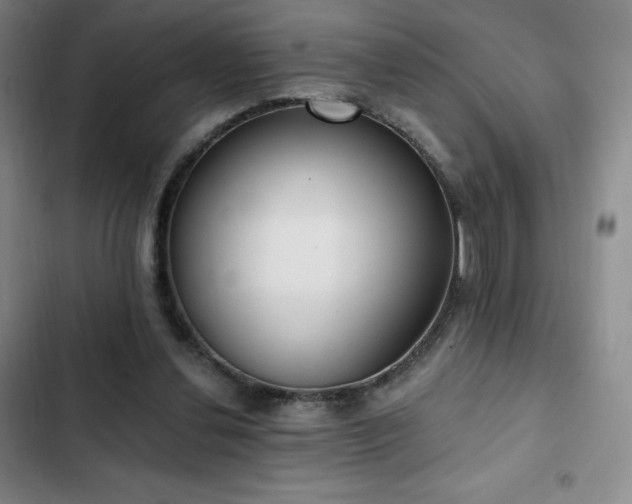 X0000103170252200808221241