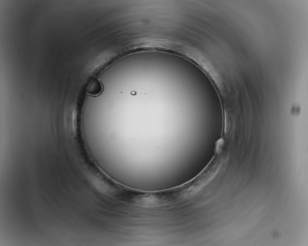 X0000103170253200808221241