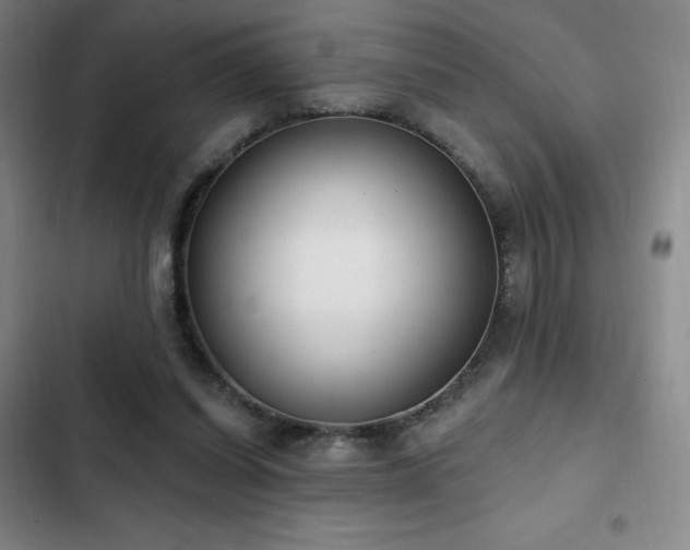 X0000103170254200808221241