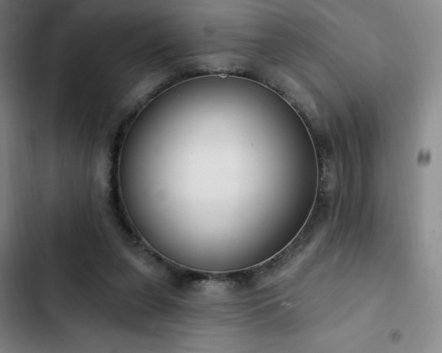 X0000103170255200808221241