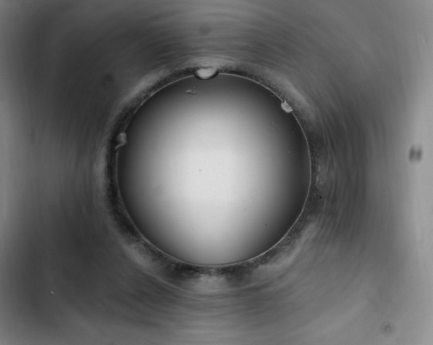 X0000103170256200808221241