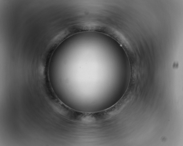 X0000103170258200808221241