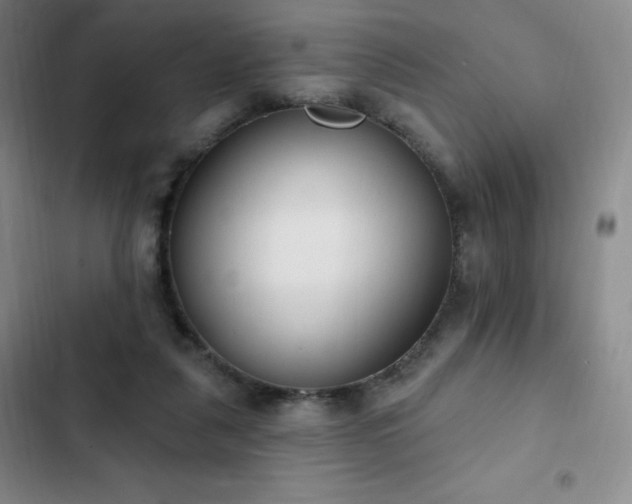 X0000103170259200808221241