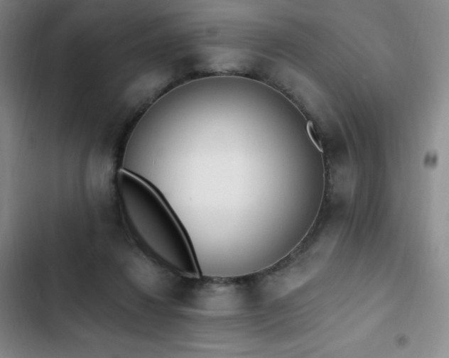 X0000103170260200808221241