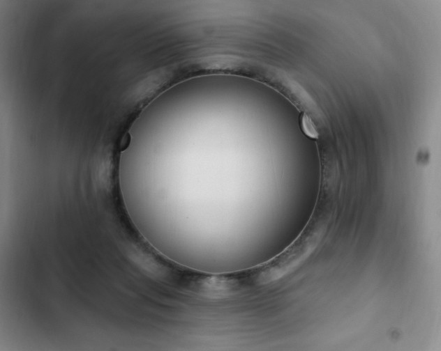 X0000103170261200808221241