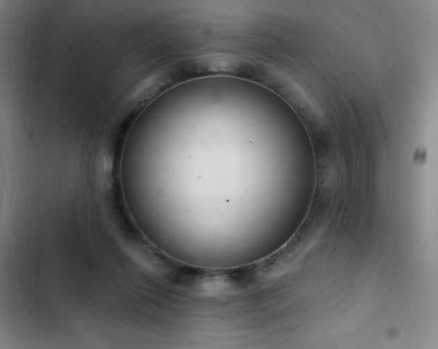 X0000103170262200808221241