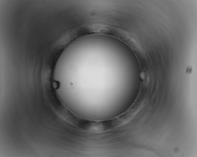 X0000103170263200808221241