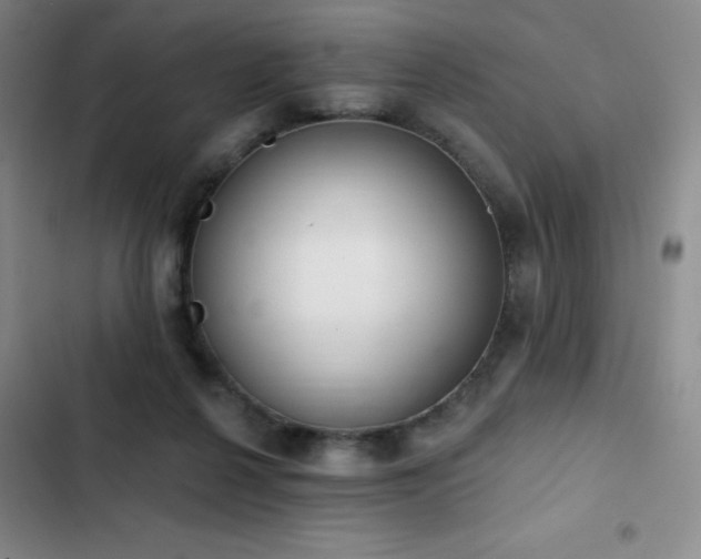 X0000103170264200808221241