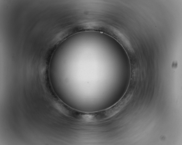 X0000103170265200808221241