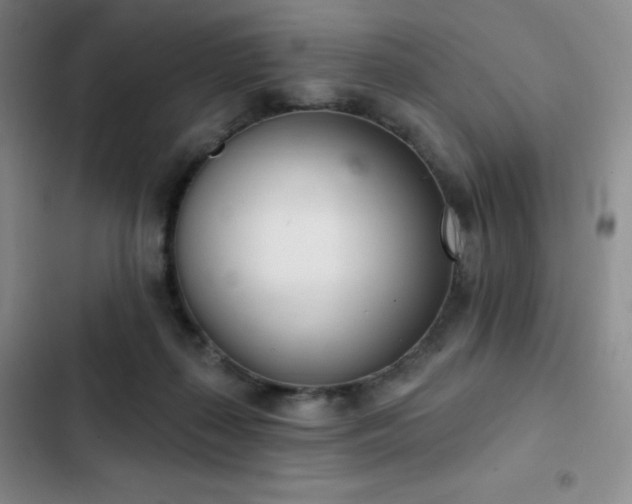 X0000103170267200808221241