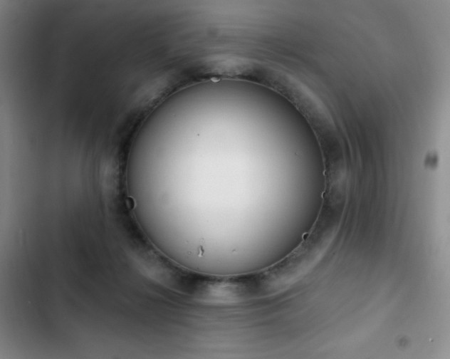 X0000103170268200808221241