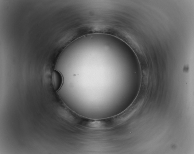 X0000103170269200808221241