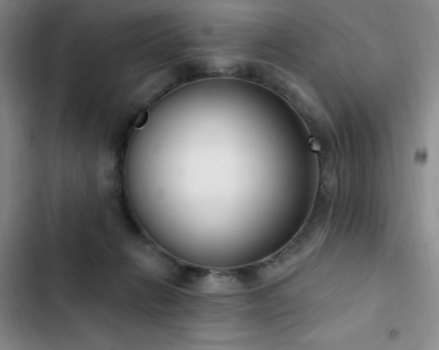 X0000103170270200808221241