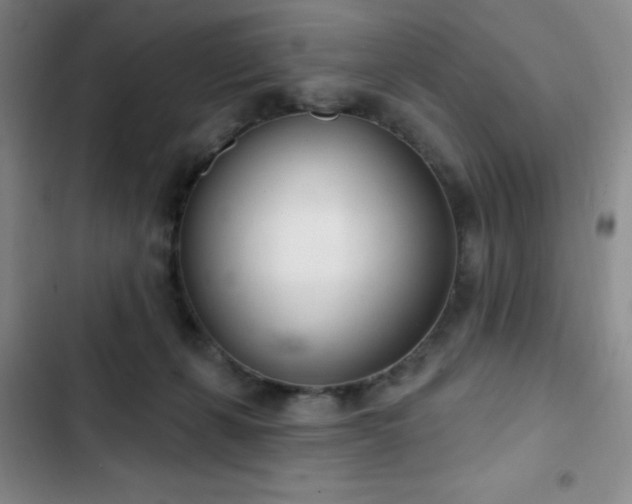 X0000103170271200808221241