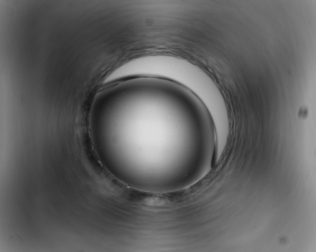 X0000103170272200808221241