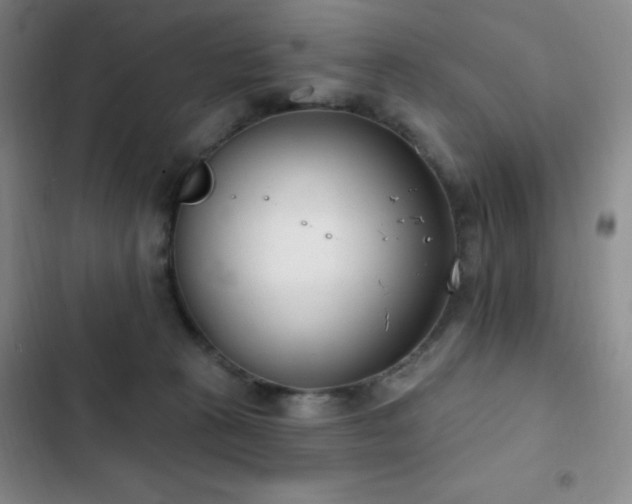 X0000103170273200808221241