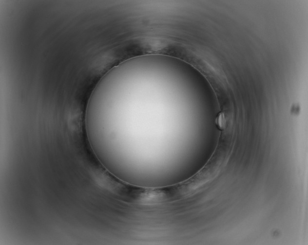 X0000103170274200808221241