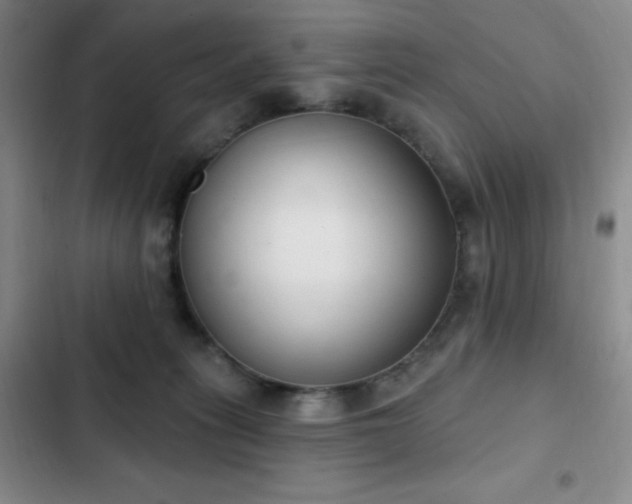 X0000103170275200808221241