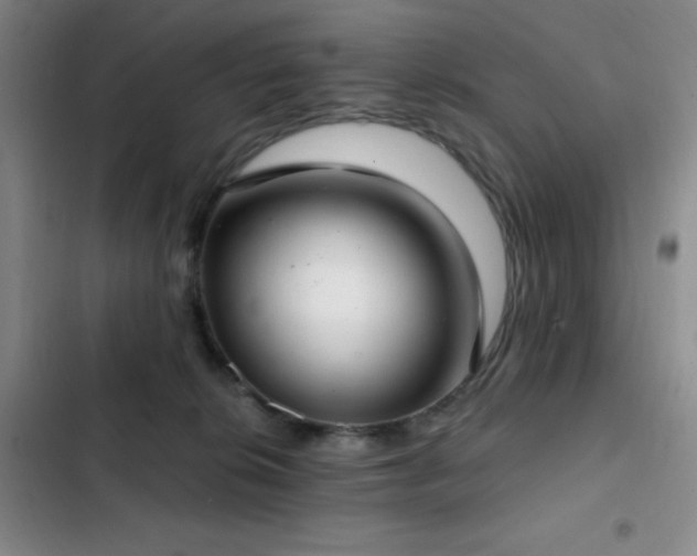 X0000103170276200808221241