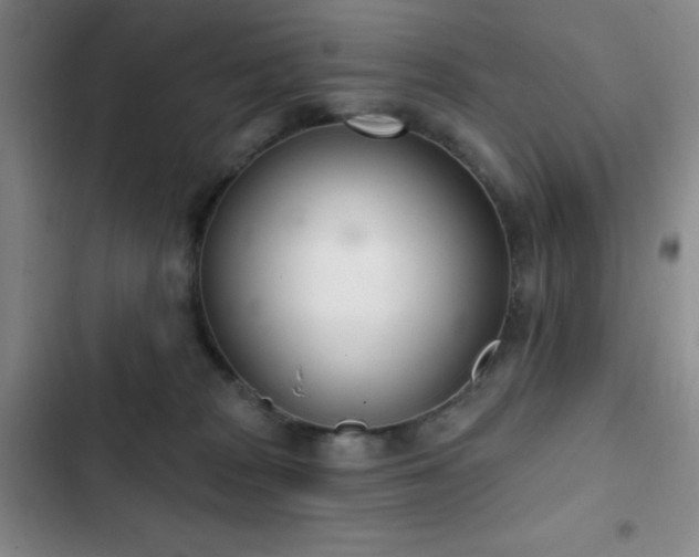 X0000103170277200808221241