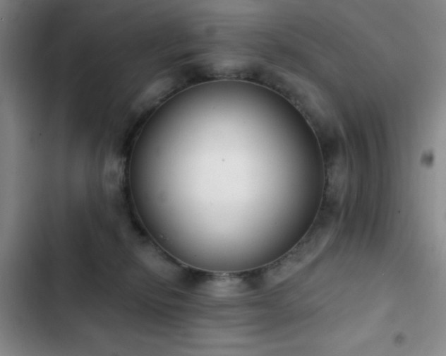 X0000103170278200808221241